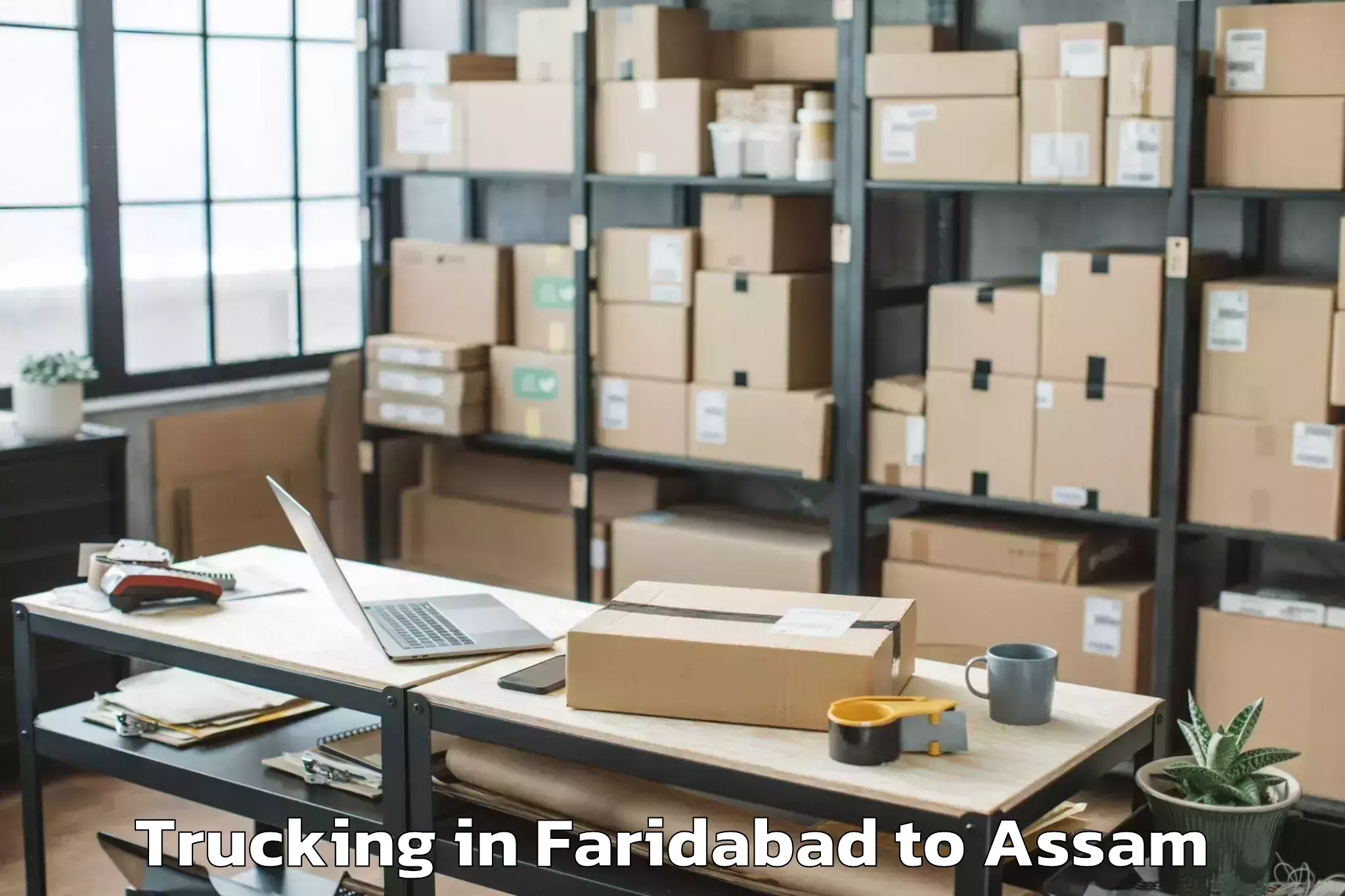 Hassle-Free Faridabad to Goshaingaon Trucking